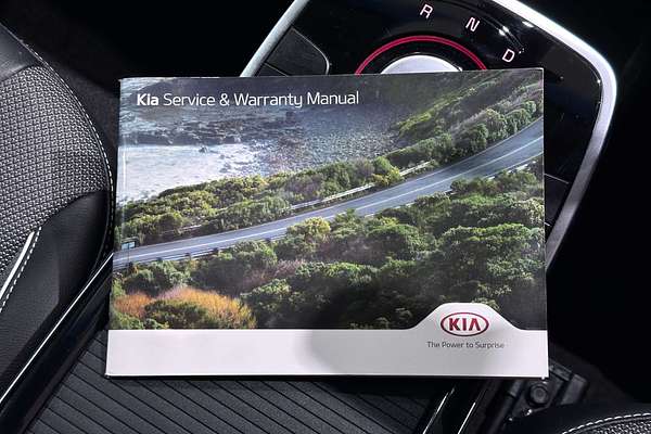 2021 Kia Niro EV S DE