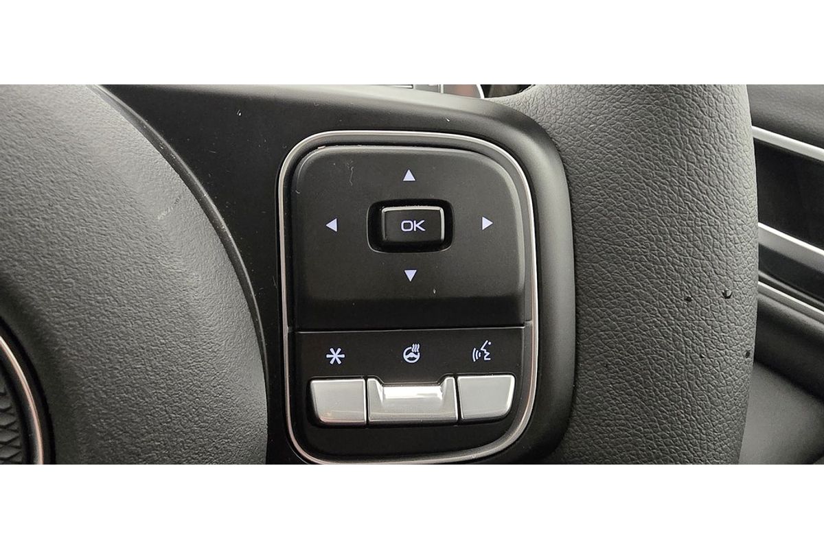 2025 GWM Ute Cannon 2.4 X Auto 4x4 