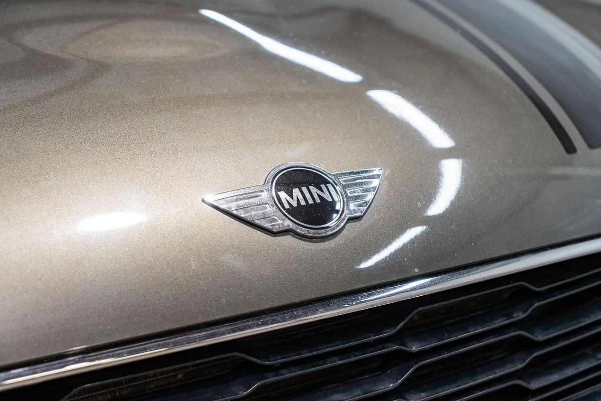 2013 MINI Paceman Cooper S R61