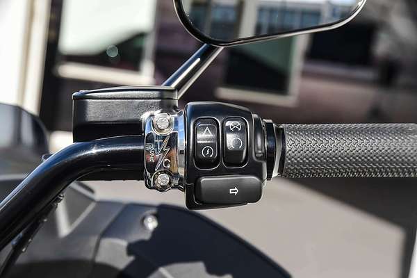 2022 Harley-Davidson Softail