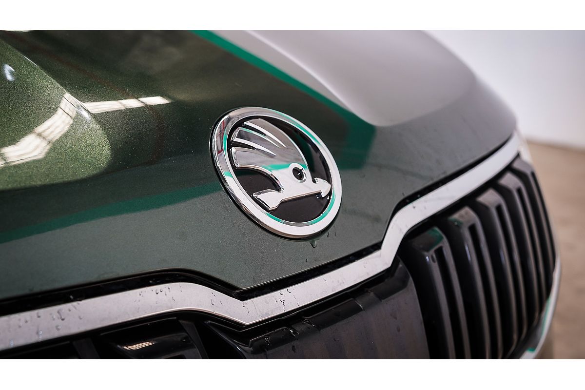 2019 SKODA Karoq 110TSI NU