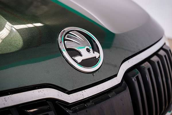 2019 SKODA Karoq 110TSI NU