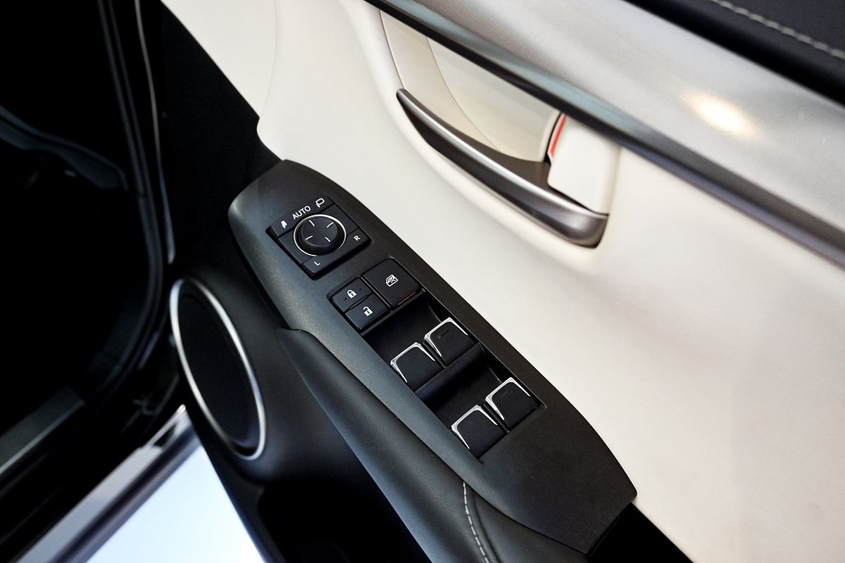 2021 Lexus NX NX300 Luxury AGZ10R