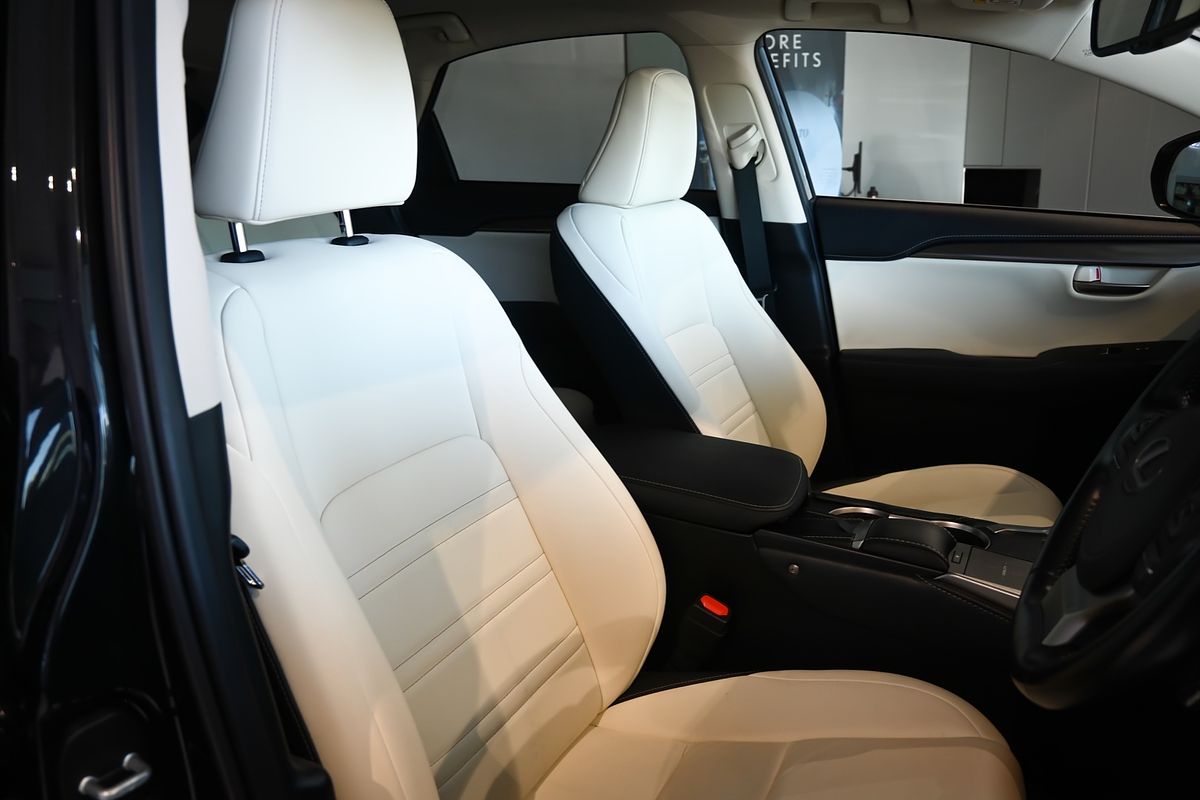 2021 Lexus NX NX300 Luxury AGZ10R