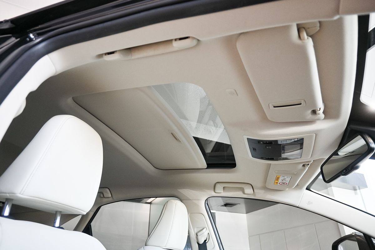 2021 Lexus NX NX300 Luxury AGZ10R