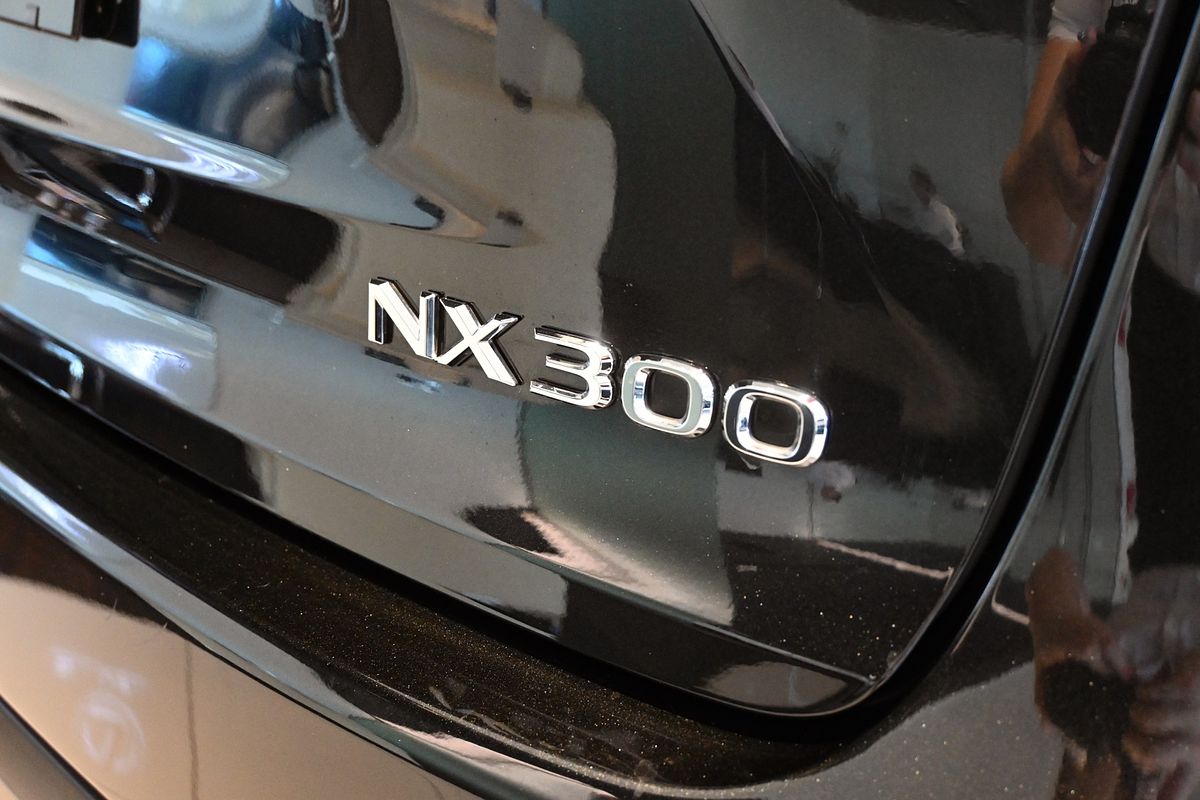 2021 Lexus NX NX300 Luxury AGZ10R