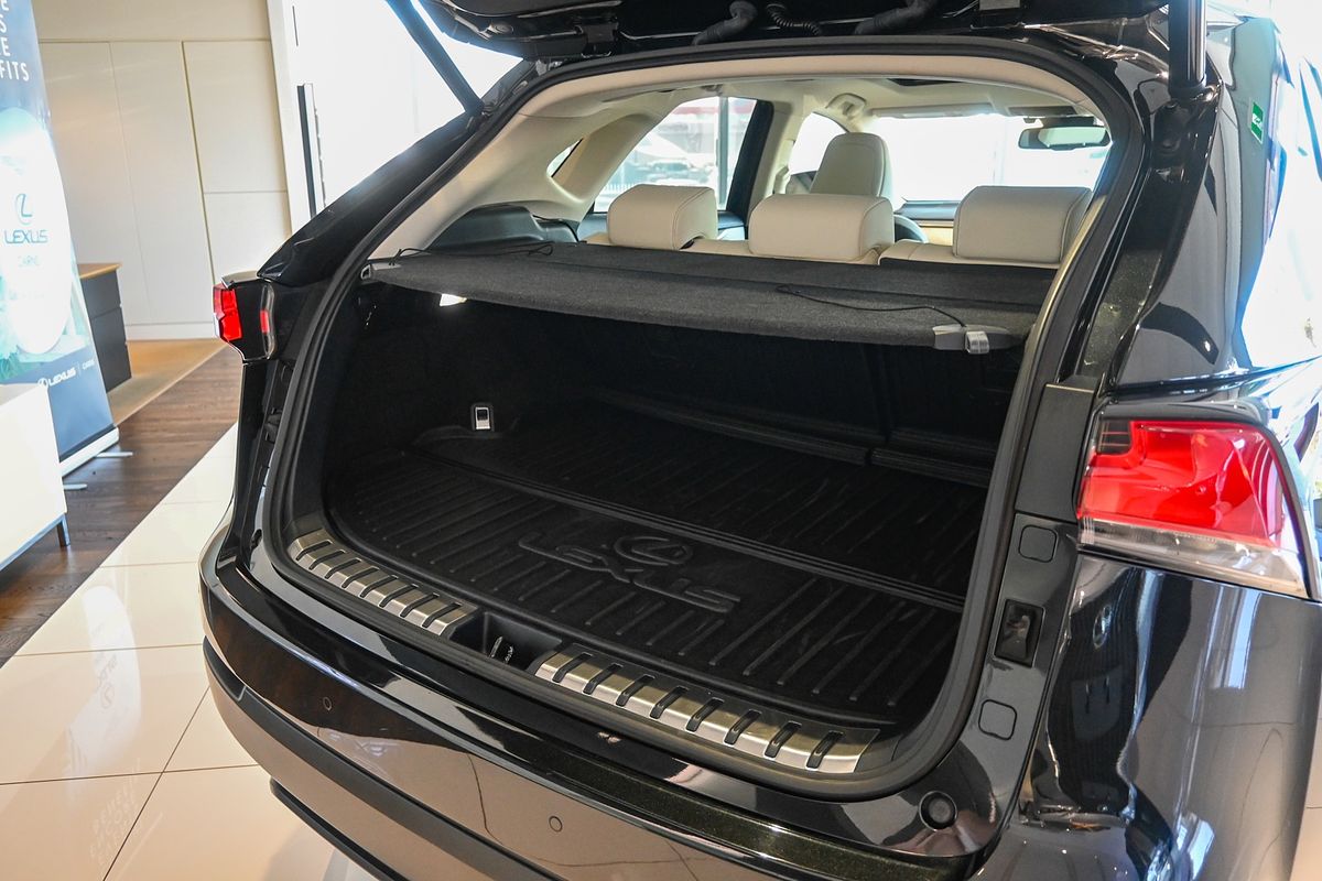 2021 Lexus NX NX300 Luxury AGZ10R