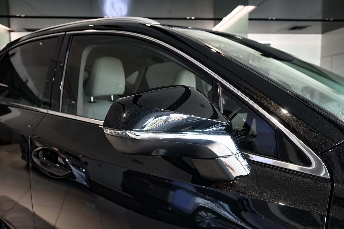2021 Lexus NX NX300 Luxury AGZ10R