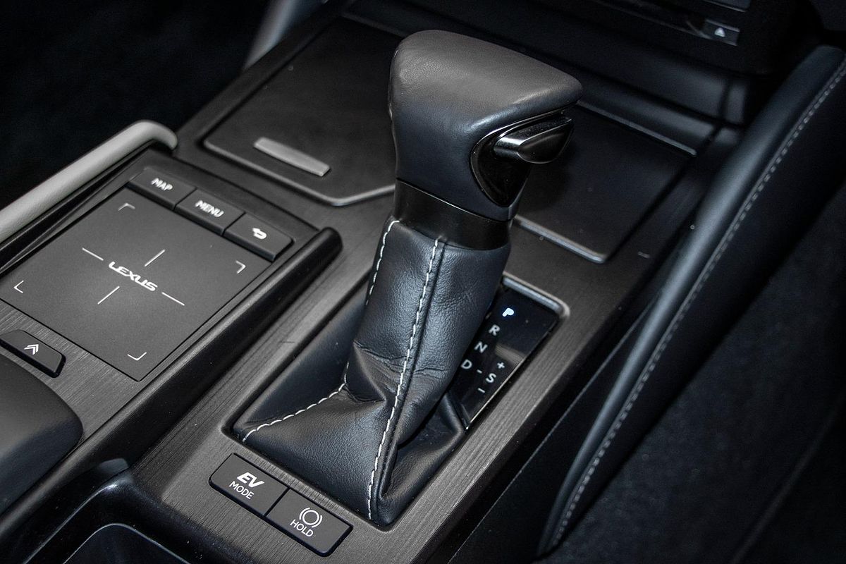 2020 Lexus ES ES300h Luxury AXZH10R