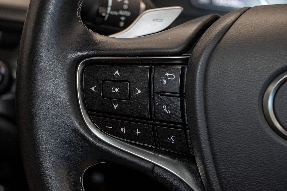 2020 Lexus ES ES300h Luxury AXZH10R