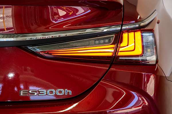 2020 Lexus ES ES300h Luxury AXZH10R