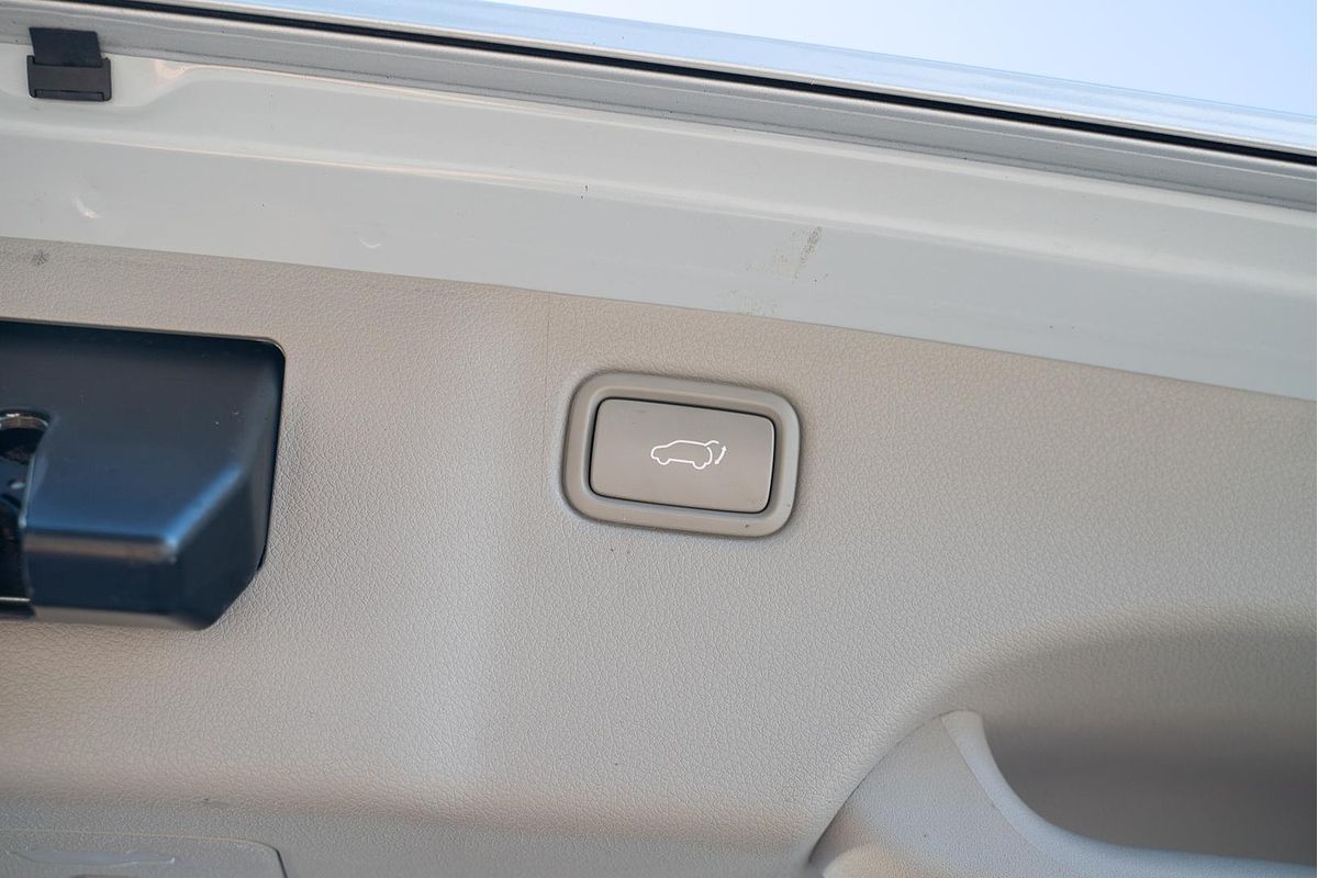 2019 Kia Carnival Platinum YP