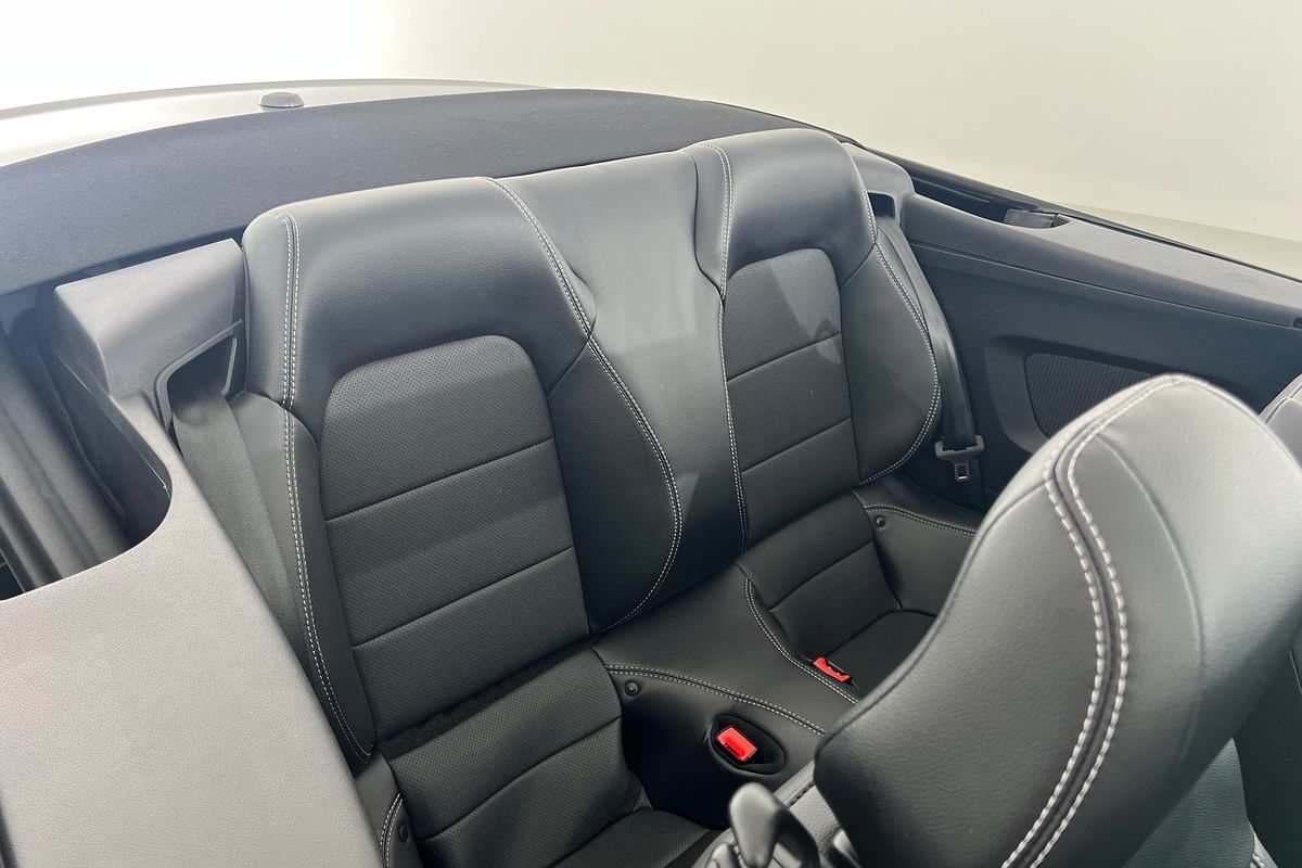 2019 Ford Mustang GT FN