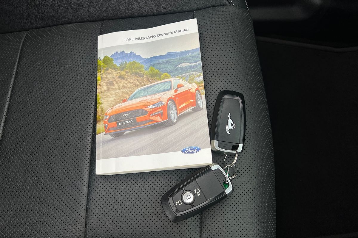 2019 Ford Mustang GT FN