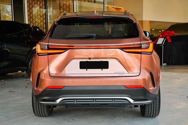 2024 Lexus NX NX350 F Sport TAZA25R