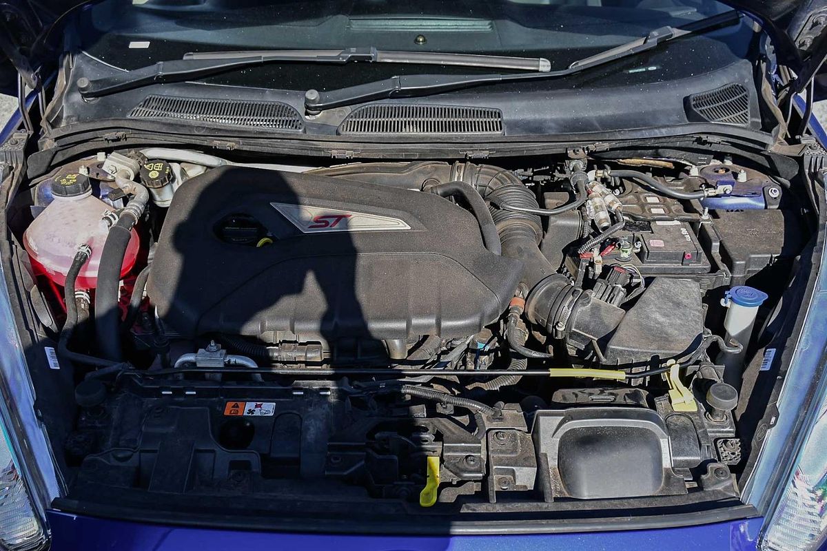2013 Ford Fiesta ST WZ