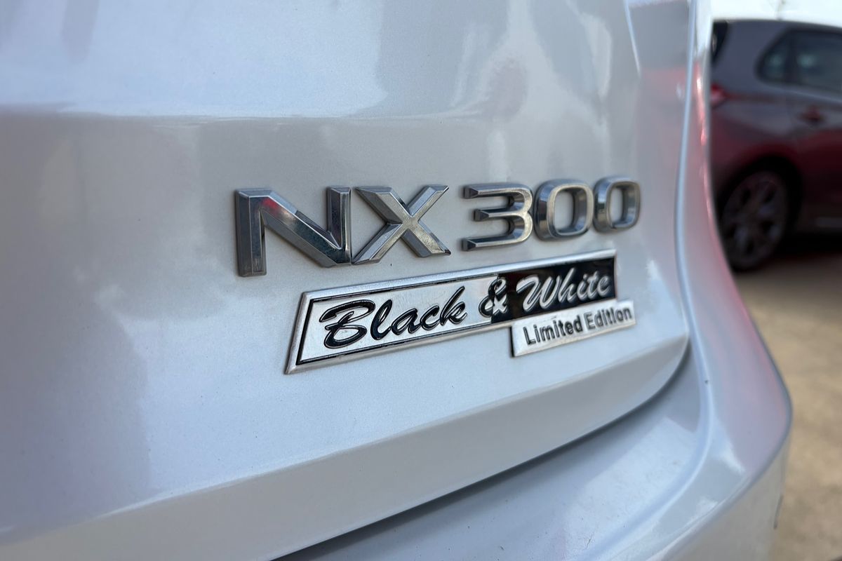 2020 Lexus NX NX300 Luxury AGZ10R