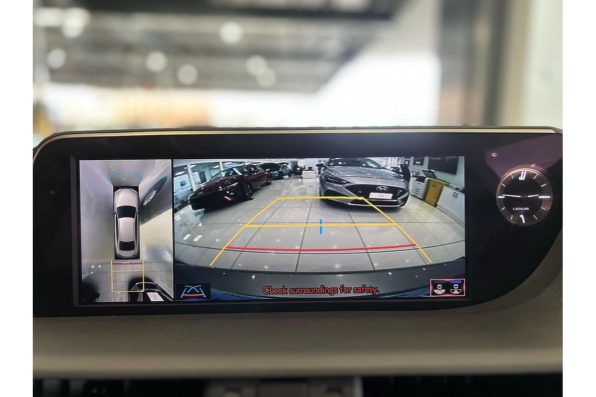 2020 Lexus ES ES300h Sports Luxury AXZH10R