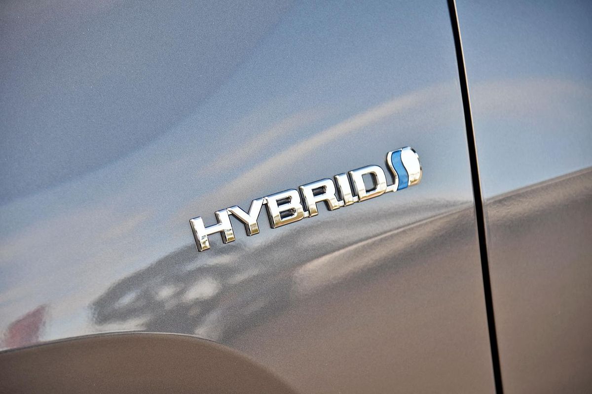 2024 Toyota RAV4 Cruiser AXAH54R