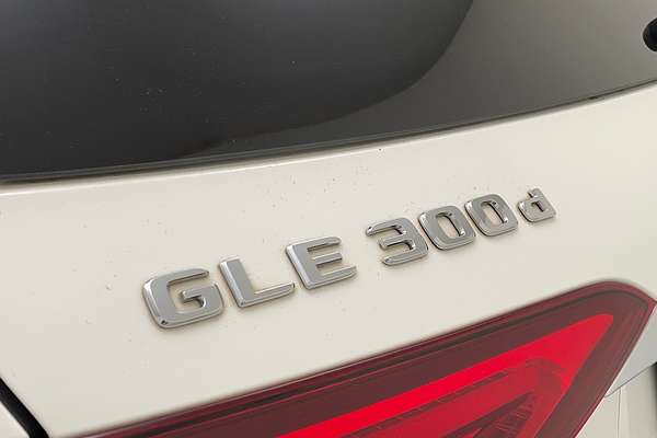 2019 Mercedes-Benz GLE-Class GLE300 d V167