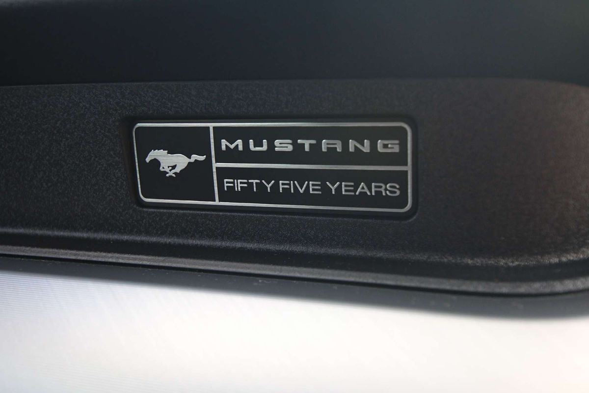 2019 Ford Mustang GT FN