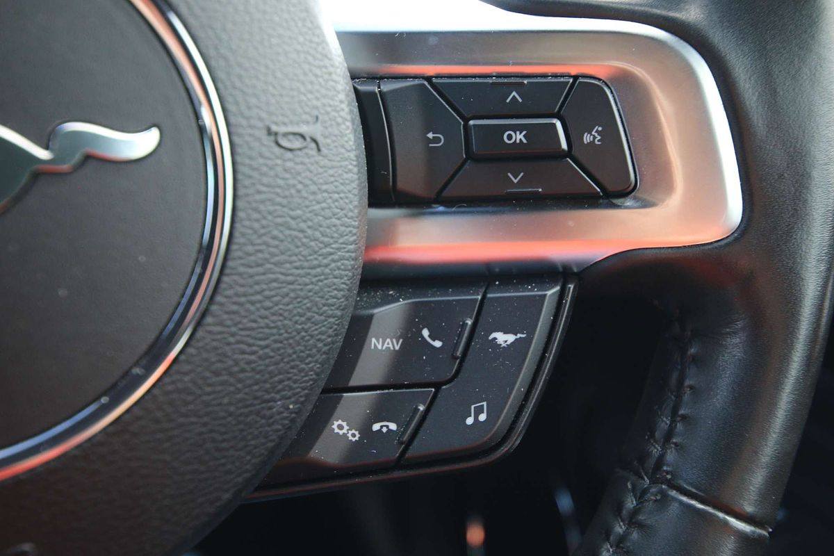 2019 Ford Mustang GT FN