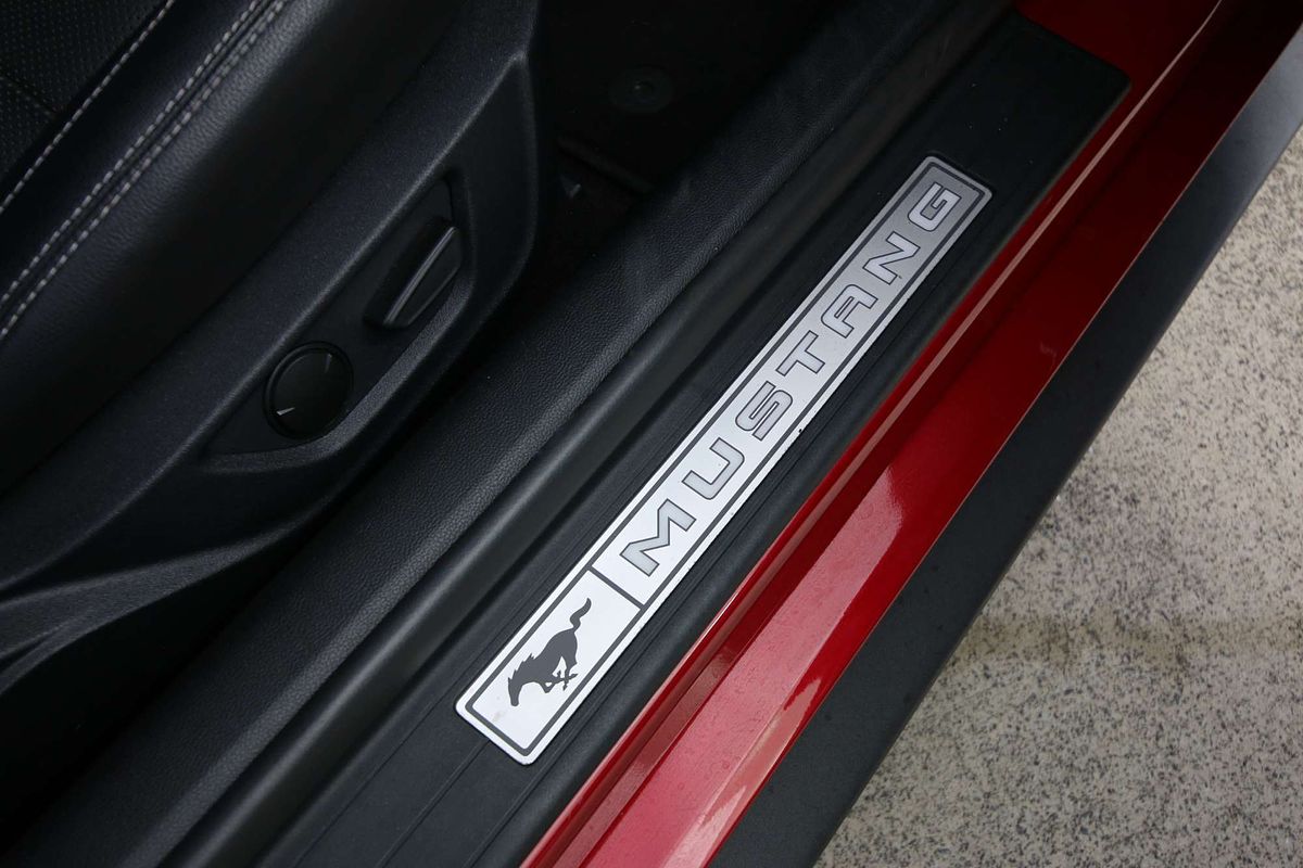 2019 Ford Mustang GT FN