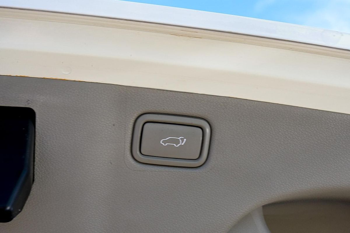 2017 Kia Carnival Platinum YP