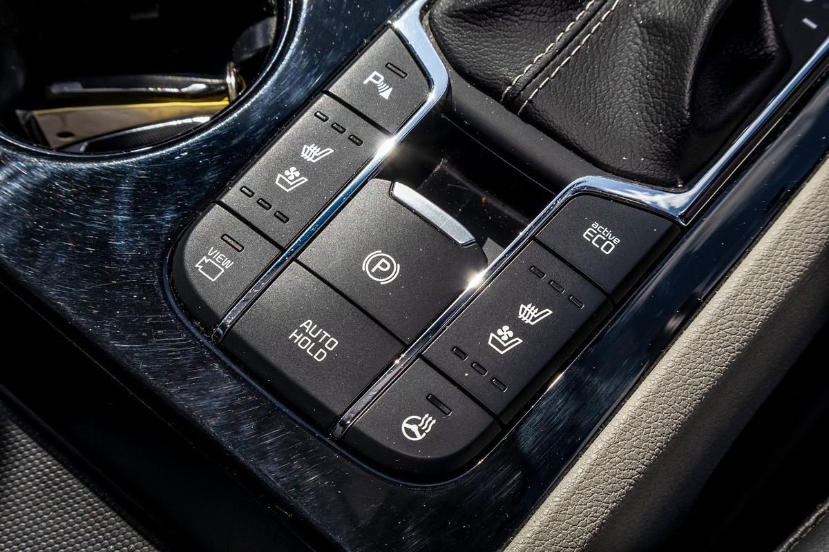 2019 Kia Carnival Platinum YP