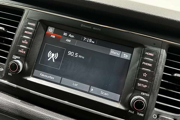 2019 Kia Carnival S YP