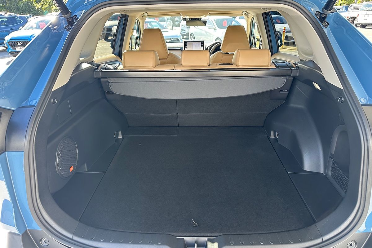 2022 Toyota RAV4 Cruiser AXAH52R
