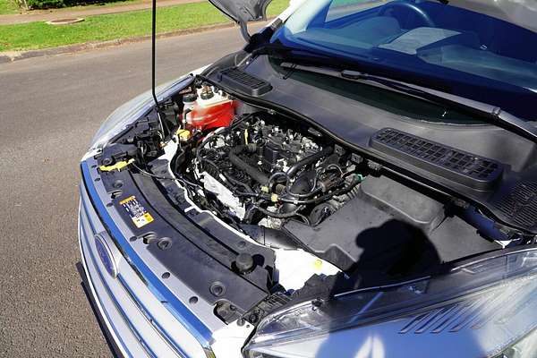 2019 Ford Escape Trend (FWD) ZG MY19.25