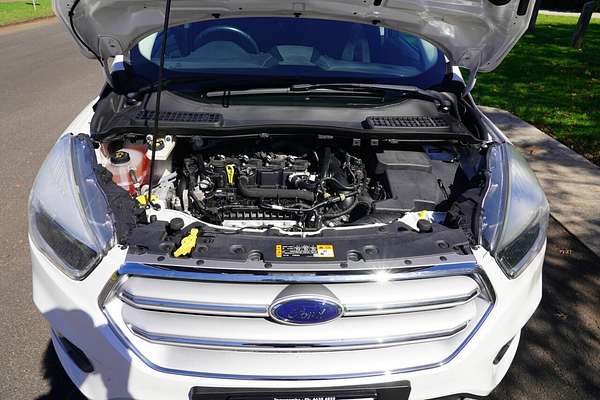 2019 Ford Escape Trend (FWD) ZG MY19.25