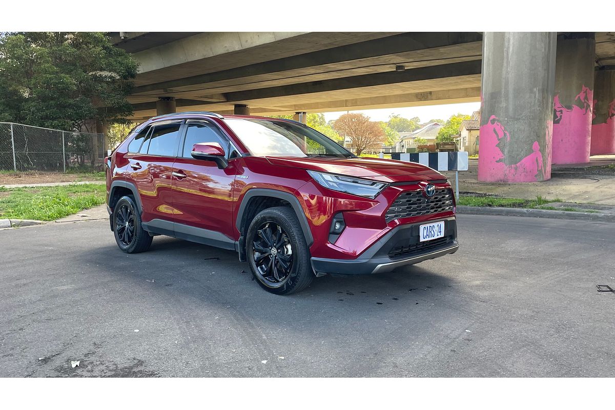 2022 Toyota RAV4 Cruiser AXAH52R