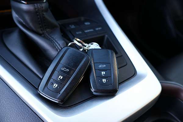 2019 Toyota RAV4 Cruiser AXAH52R