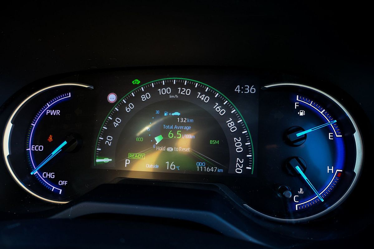 2019 Toyota RAV4 Cruiser AXAH52R