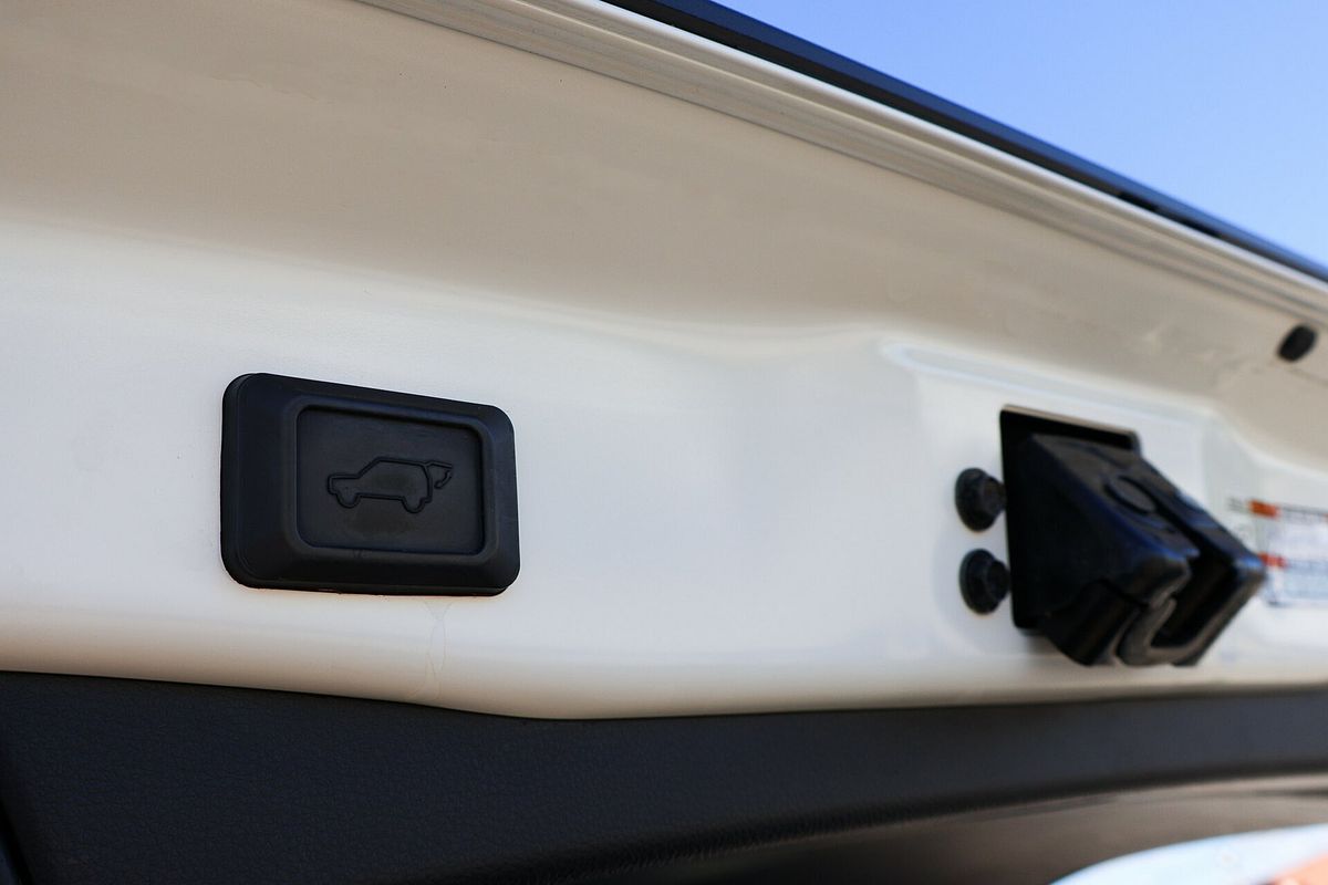 2019 Toyota RAV4 Cruiser AXAH52R