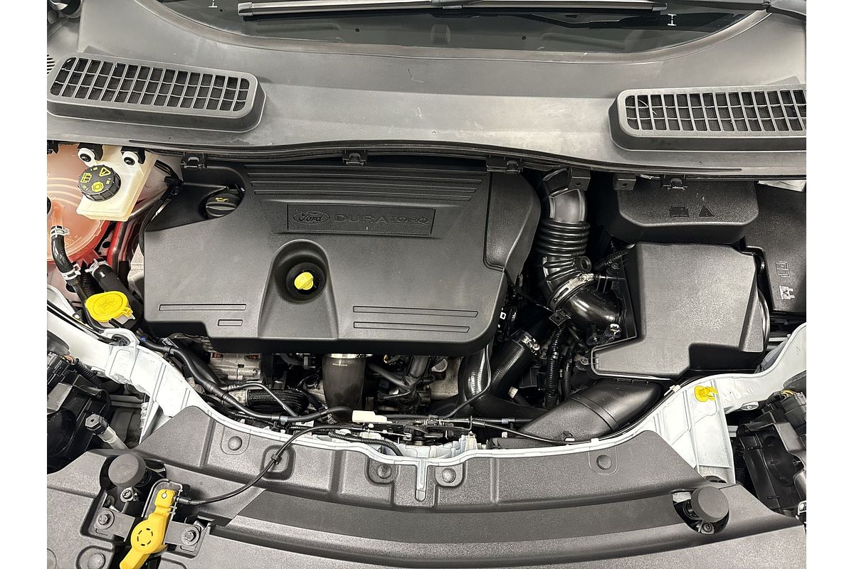 2019 Ford Escape Trend ZG