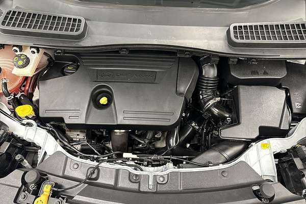 2019 Ford Escape Trend ZG