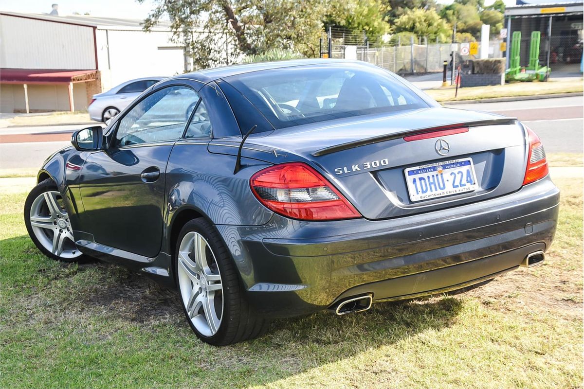 2010 Mercedes-Benz SLK-Class SLK300 R171