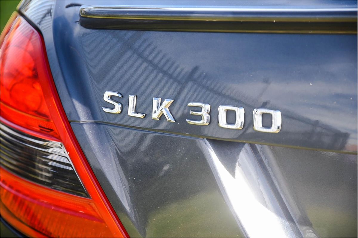 2010 Mercedes-Benz SLK-Class SLK300 R171