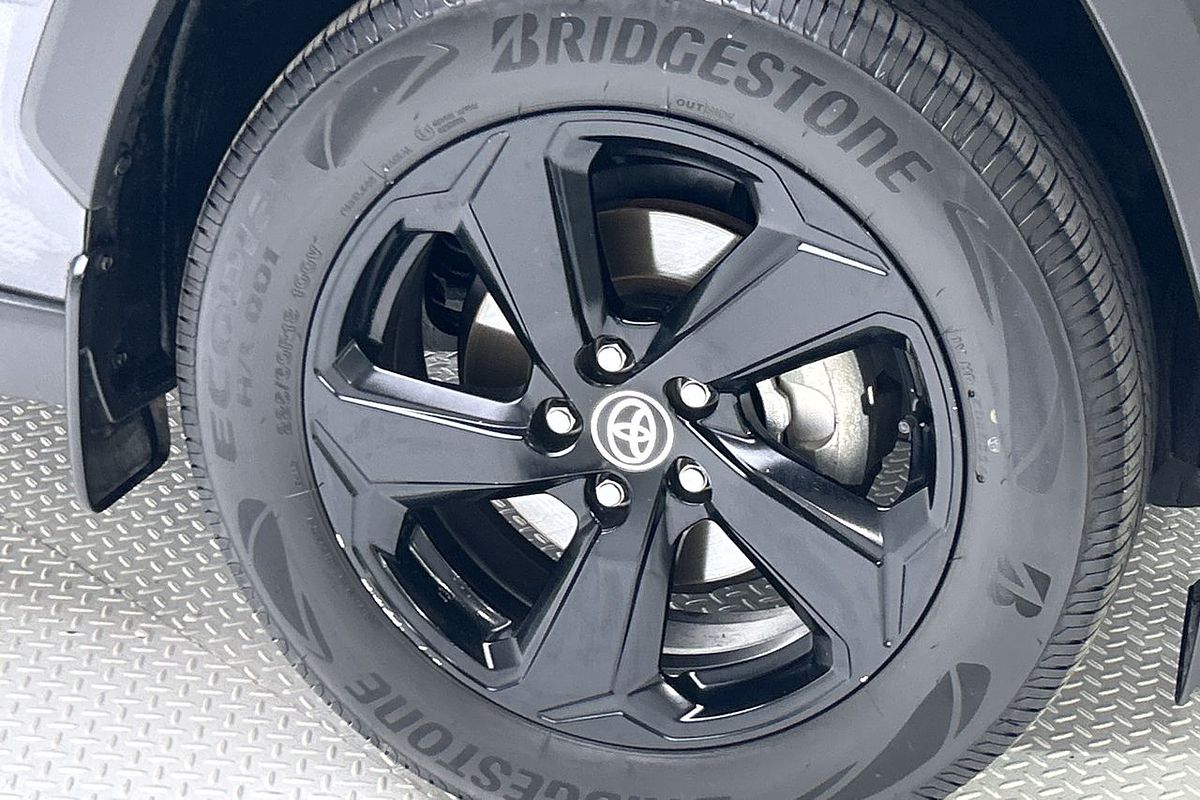 2019 Toyota RAV4 Cruiser AXAH54R