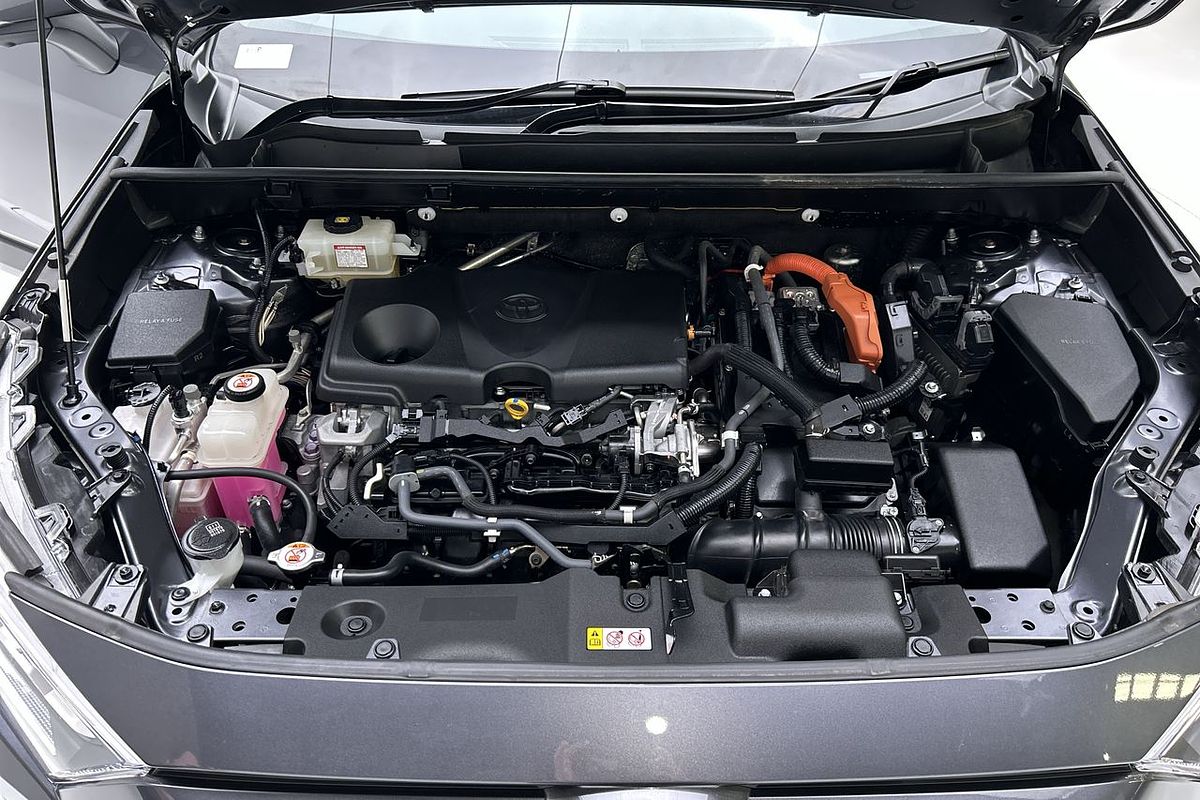 2019 Toyota RAV4 Cruiser AXAH54R