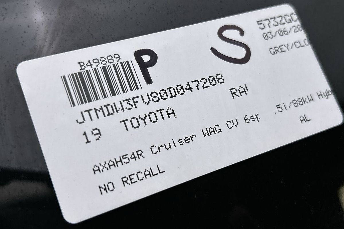 2019 Toyota RAV4 Cruiser AXAH54R
