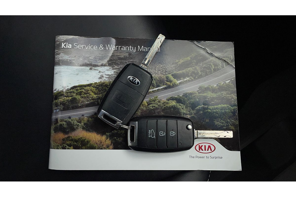 2018 Kia Carnival S YP
