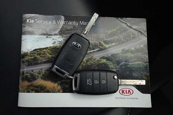 2018 Kia Carnival S YP