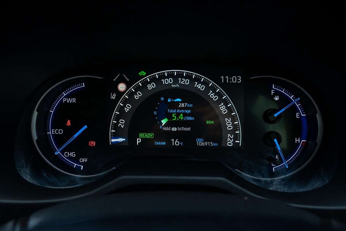 2020 Toyota RAV4 Cruiser AXAH54R