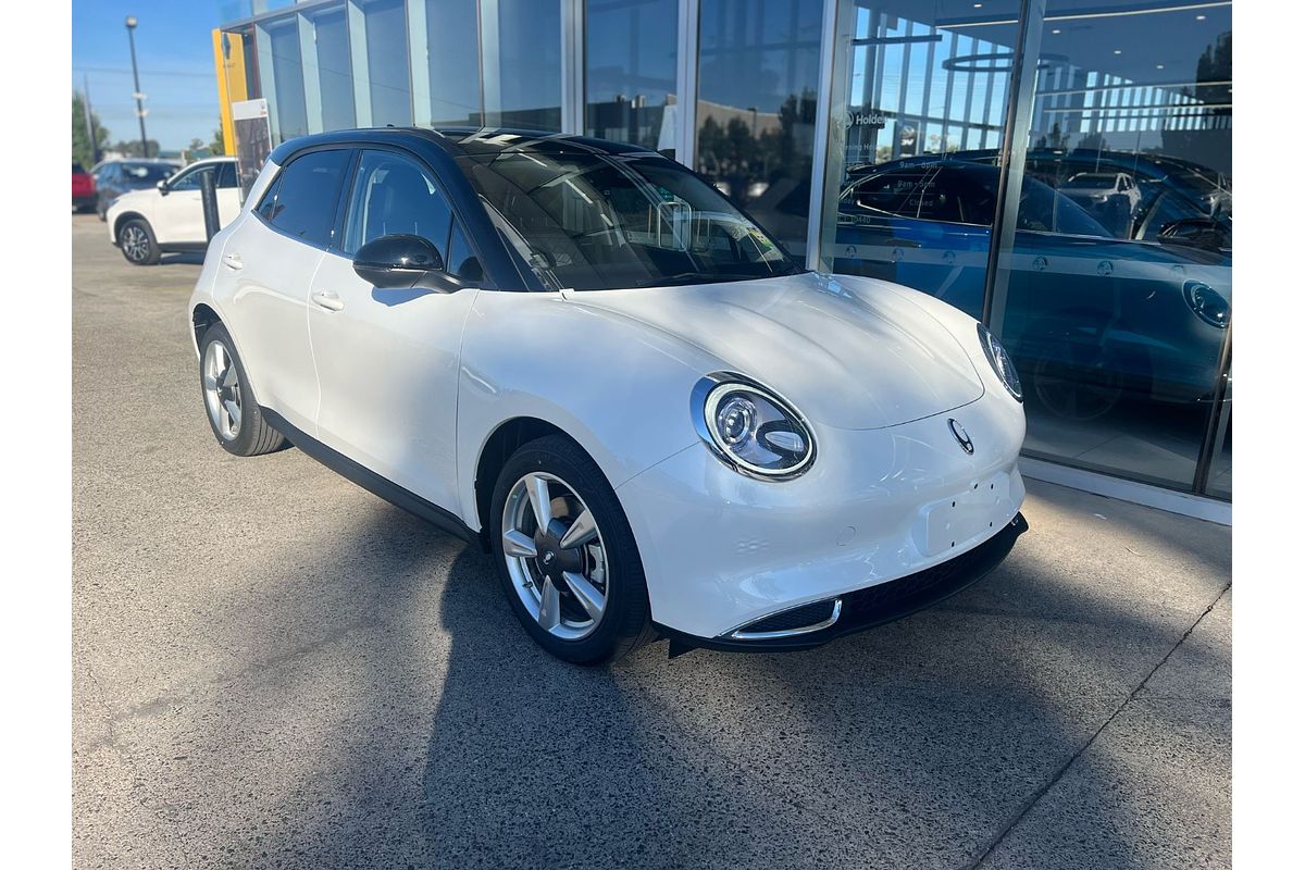 2024 GWM Ora Standard Range ES11