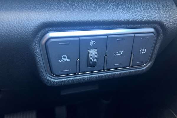 2024 GWM Ora Standard Range ES11