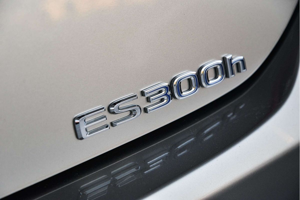 2021 Lexus ES ES300h Sports Luxury AXZH10R